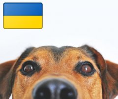 Ukraine  - Infos für Tierbesitzer
